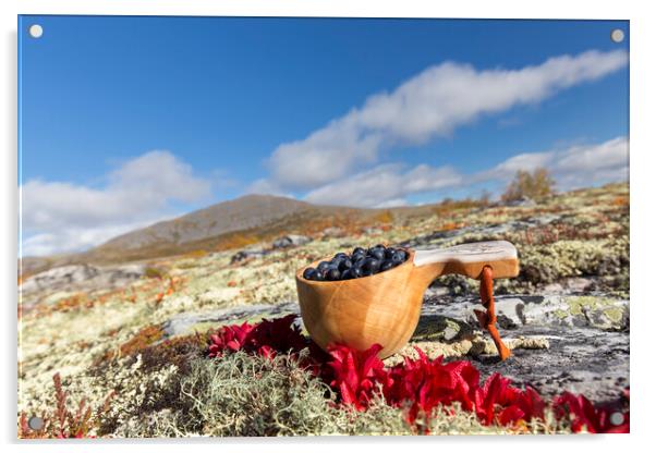 Harvested berries on the Scandinavian Tundra Acrylic by Arterra 