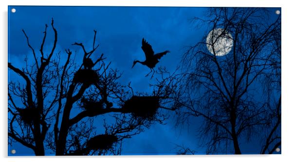 Heron Landing on Nest at Night Acrylic by Arterra 