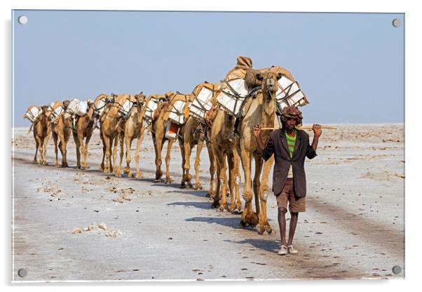 Salt Caravan, Ethiopia Acrylic by Arterra 