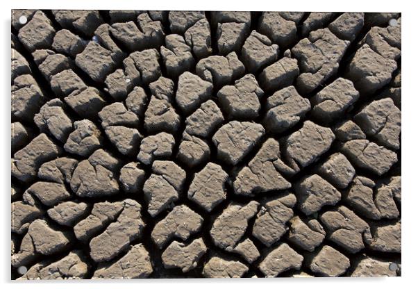 Abstract Pattern of Dry Cracked Clay Mud Acrylic by Arterra 