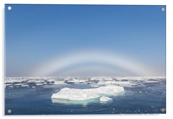 Fogbow over the Arctic Sea Acrylic by Arterra 