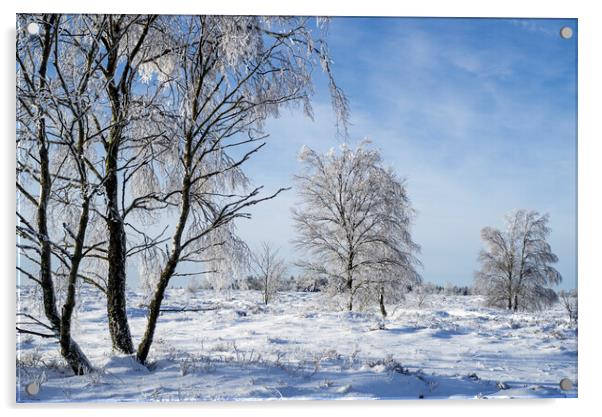 Birch Trees in Winter Landscape Acrylic by Arterra 