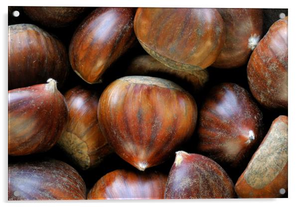 Sweet Chestnuts Acrylic by Arterra 