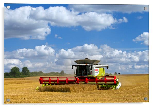 Combine Harvester in Cornfield Acrylic by Arterra 