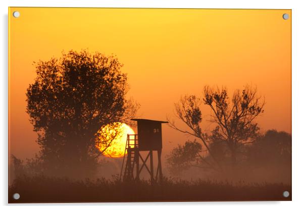 Raised Hunting Stand at Sunrise Acrylic by Arterra 