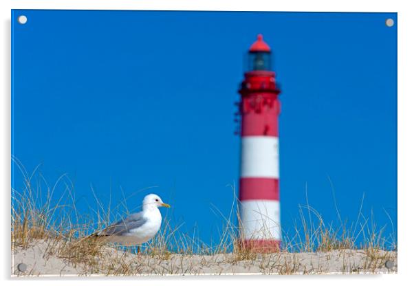Gull and Amrum Lighthouse Acrylic by Arterra 