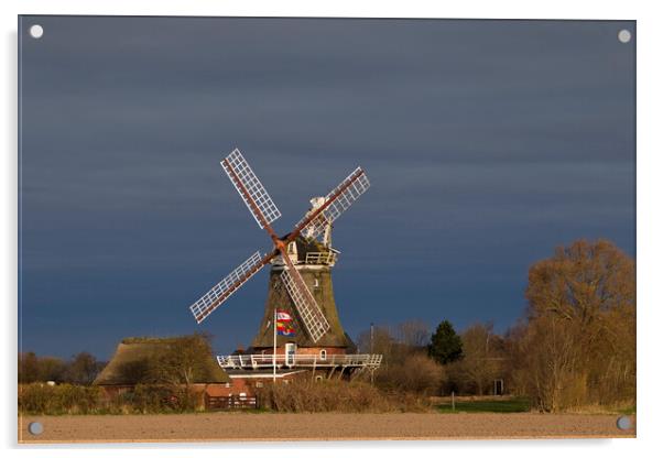 Oldsum Windmill Acrylic by Arterra 