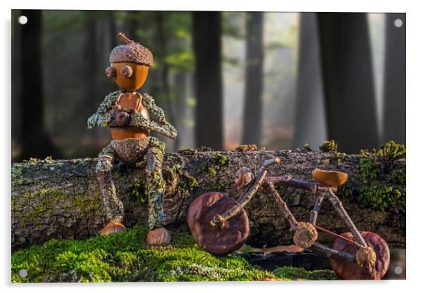 Little Acorn Photographer Taking a Break in Forest Acrylic by Arterra 