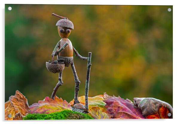 Little Acorn Man Walking in Autumn Acrylic by Arterra 