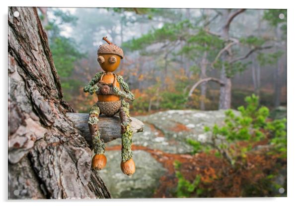 Little Acorn Photographer in Tree Acrylic by Arterra 