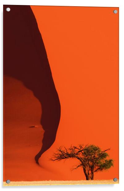 Tree and Red Sand Dune  Acrylic by Arterra 