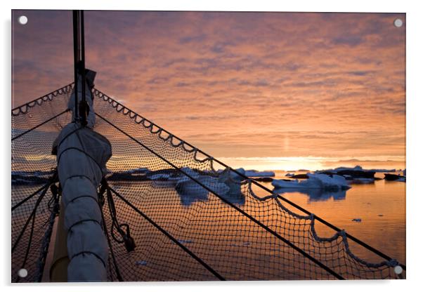 Sailing at Sunset, Antarctica Acrylic by Arterra 