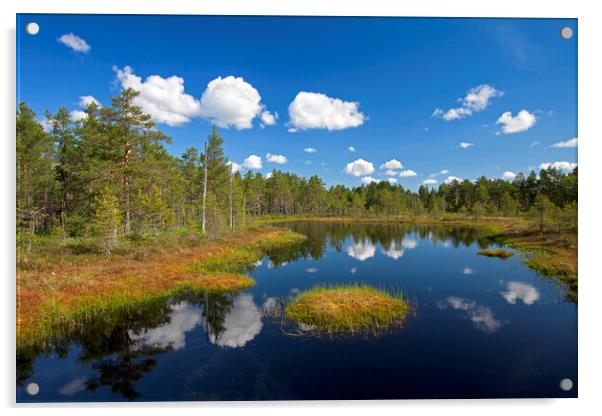 Swedish Moorland Acrylic by Arterra 