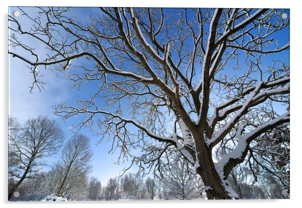 Tree in Winter Acrylic by Arterra 