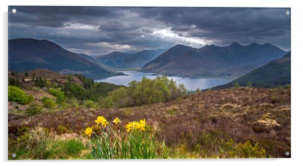 Loch Duich and Five Sisters of Kintail, Scotland Acrylic by Arterra 