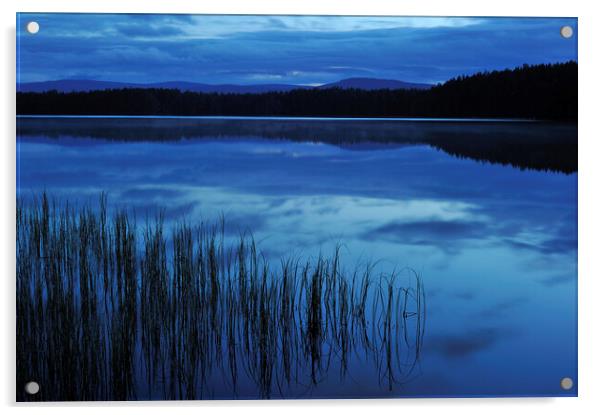 Loch Garten at Night, Scotland Acrylic by Arterra 