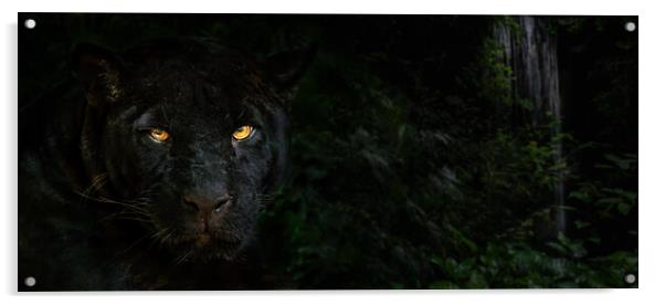 Black Panther in the Jungle at Night Acrylic by Arterra 