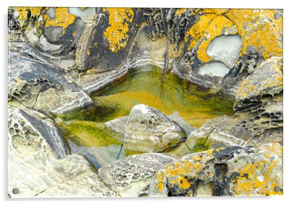 Pool in the rocks Acrylic by Philip Gough