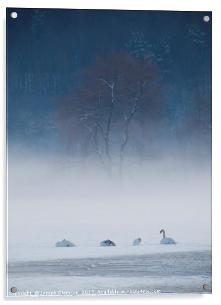 Swan Lake in Winter Acrylic by Joseph Clemson