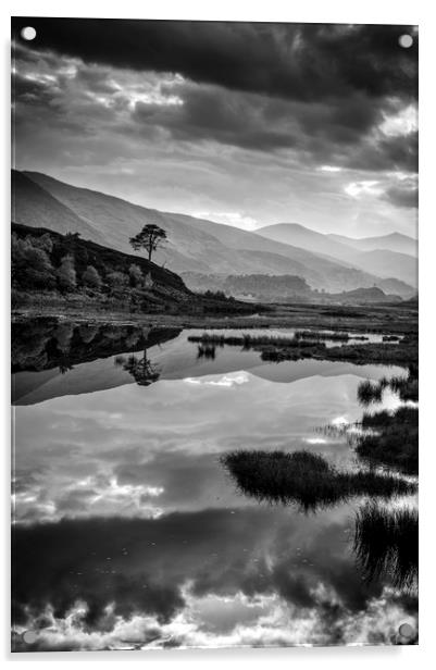 Dark Reflection, Scotland Acrylic by Janette Hill