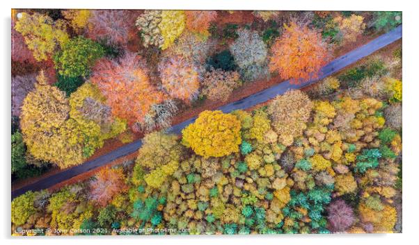 A Kaleidoscope of Autumn Colours Acrylic by John Carson