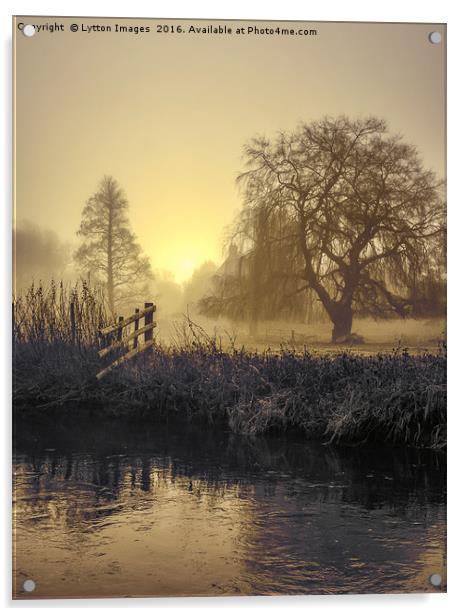 Golden Morning on the river Acrylic by Wayne Lytton
