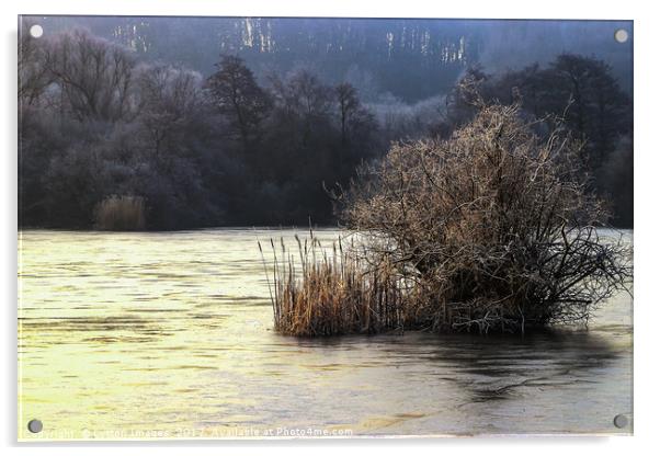 Winter wonderland 1 Acrylic by Wayne Lytton