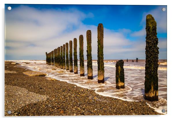 Spurn Head beach defences Acrylic by Kevin Snelling