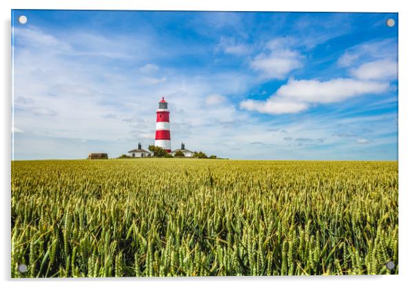 Happisburgh Lighthouse  in sea of green Acrylic by Kevin Snelling