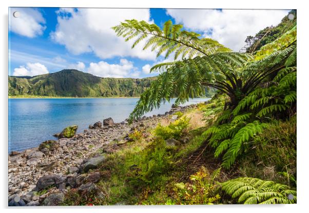 Majestic Tree Ferns by the Volcanic Crater Lake Acrylic by Kevin Snelling