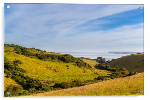 Majestic Roseland Peninsula Acrylic by Kevin Snelling