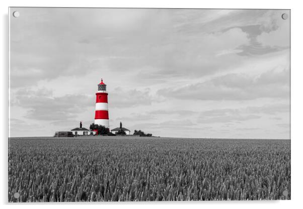 Moody Monochrome Lighthouse Acrylic by Kevin Snelling