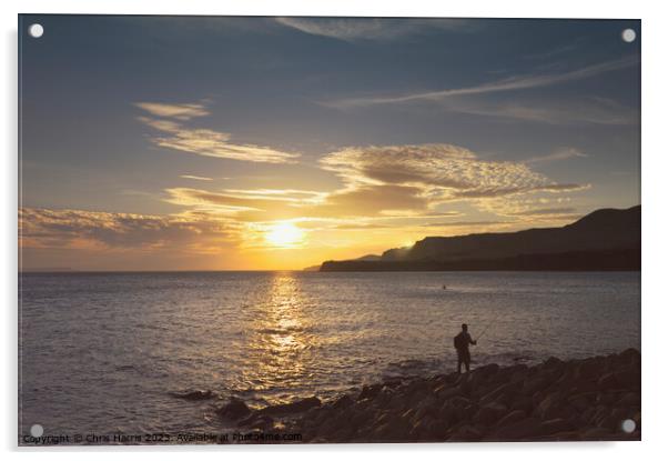 Fishing in Kimmeridge Bay Acrylic by Chris Harris