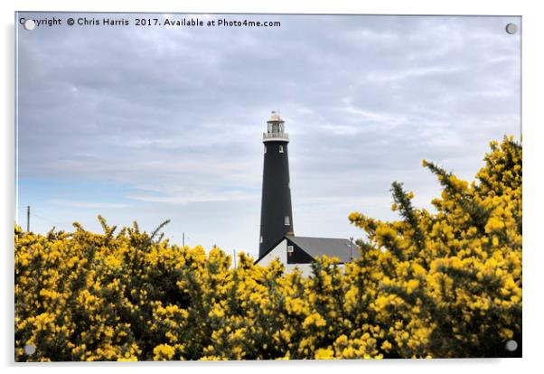 The Old Lighthouse, Dungeness Acrylic by Chris Harris