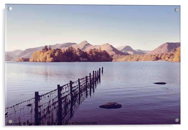 Derwent Isle and Catbells Acrylic by Chris Harris