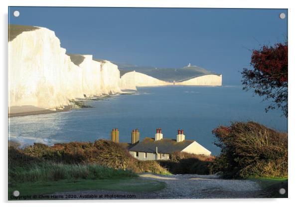 Seven Sisters from Seaford Head II Acrylic by Chris Harris