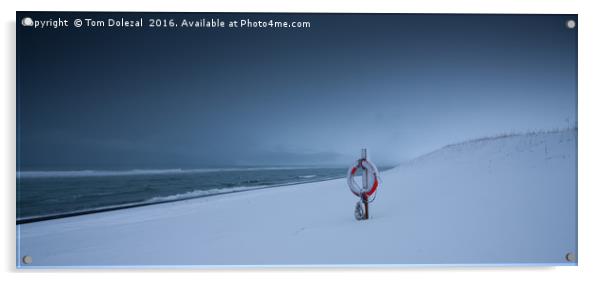 Icelandic winter beach scene Acrylic by Tom Dolezal
