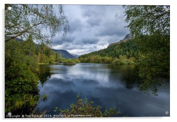 Glencoe Lochan Acrylic by Tom Dolezal