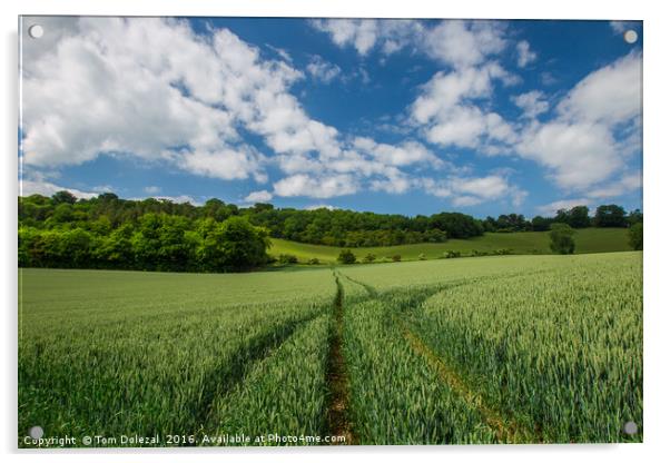 Fields of Kent Acrylic by Tom Dolezal
