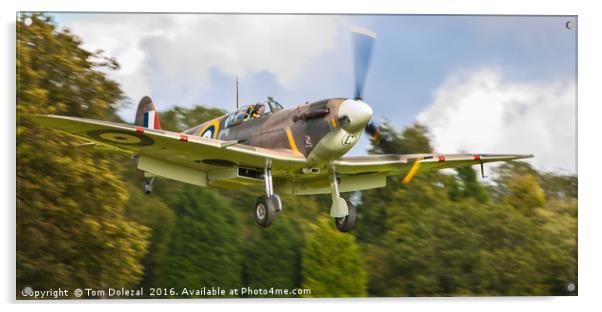 Spitfire BM597 landing Acrylic by Tom Dolezal