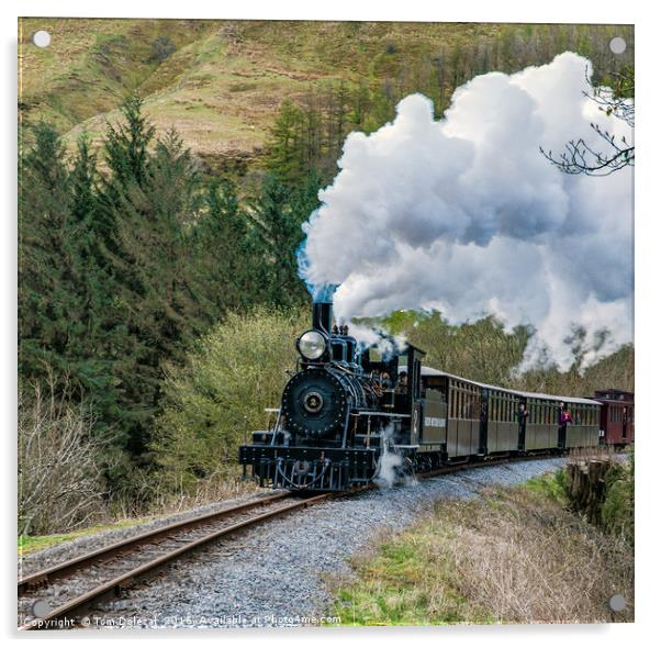  Brecon Mountain Railway steam train Acrylic by Tom Dolezal