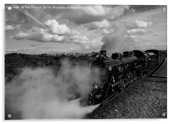 Dr Syn steam train BW Acrylic by Tom Dolezal