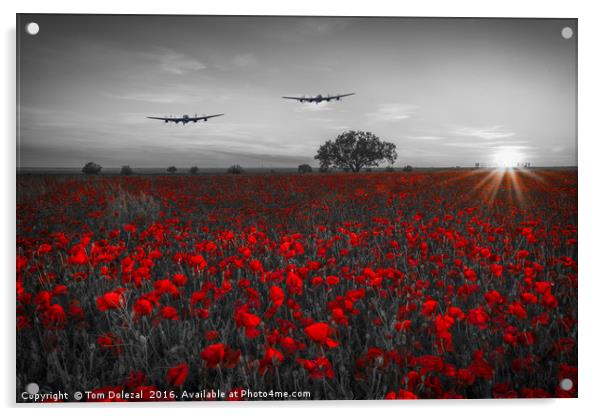 Returning Lancasters Acrylic by Tom Dolezal