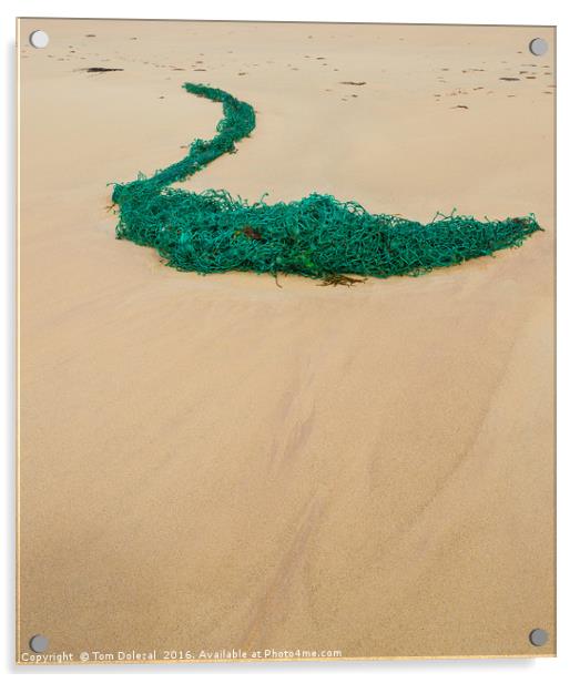 Net on the sand Acrylic by Tom Dolezal