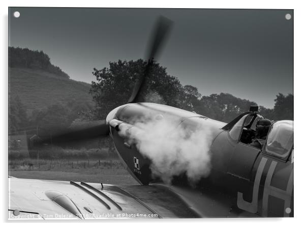 Smoky Spitfire start up. Acrylic by Tom Dolezal
