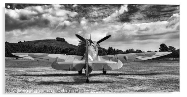 Spitfire under a Kent sky Acrylic by Tom Dolezal