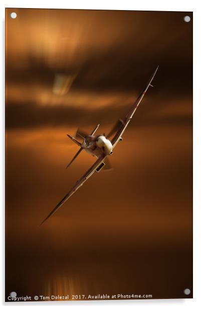 Incoming Spitfire Acrylic by Tom Dolezal