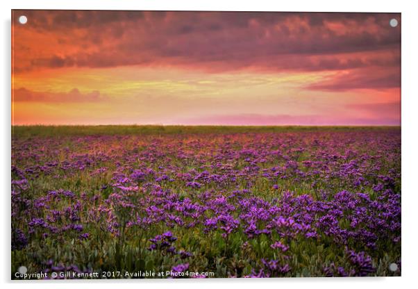 Sea Lavender Sunrise Acrylic by GILL KENNETT