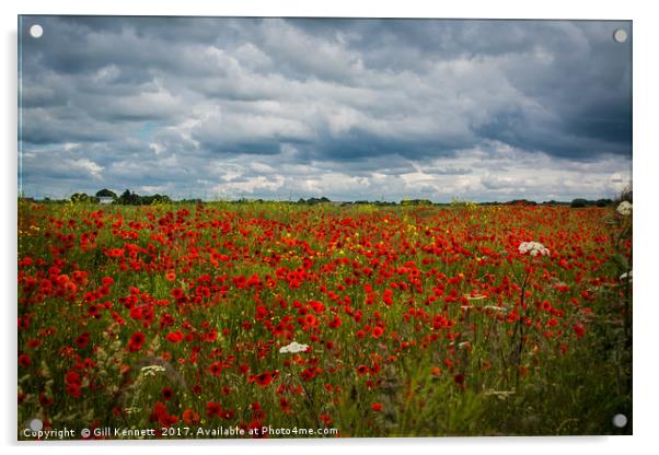 Poppy Fields Acrylic by GILL KENNETT