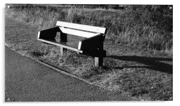 Wooden bench at Willen Lake Acrylic by Mitchell Nortje